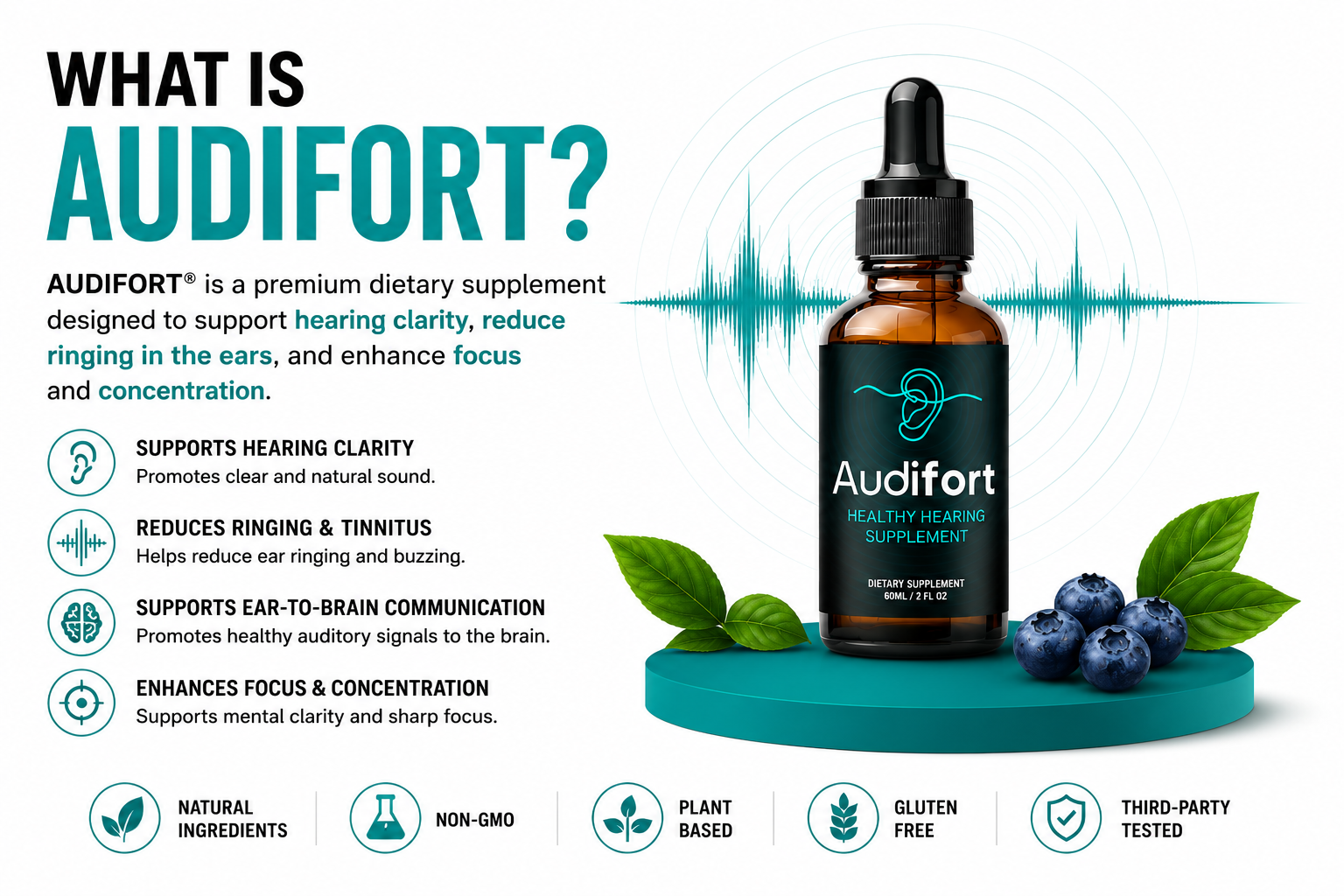 What is Audifort — auditory neural support formula overview